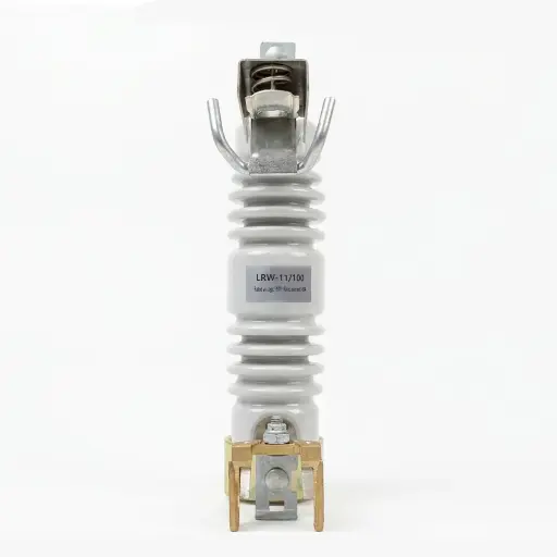 Gerilim Regülatörü - Yüksek Gerilim 11KV (Net Ağırlık 18KG)